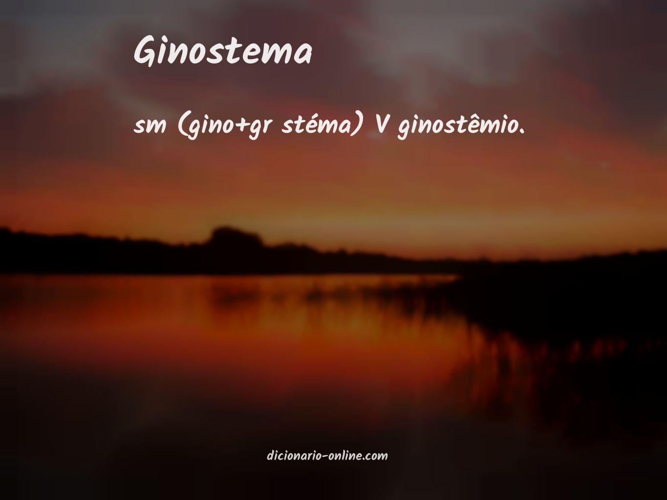 Significado de ginostema