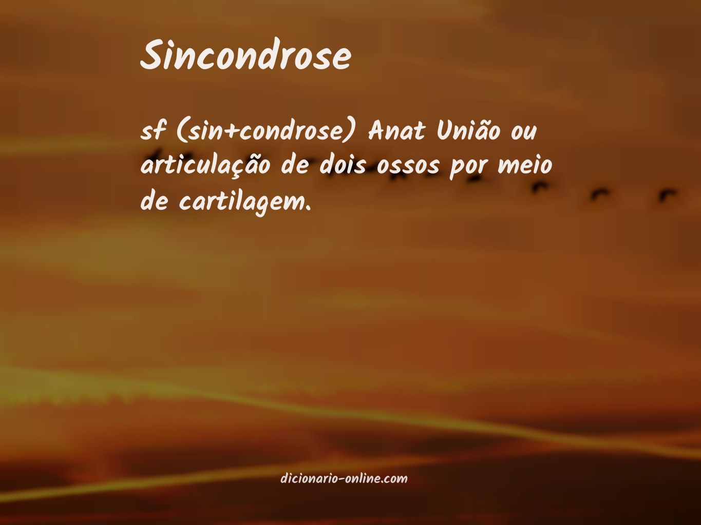 Significado de sincondrose