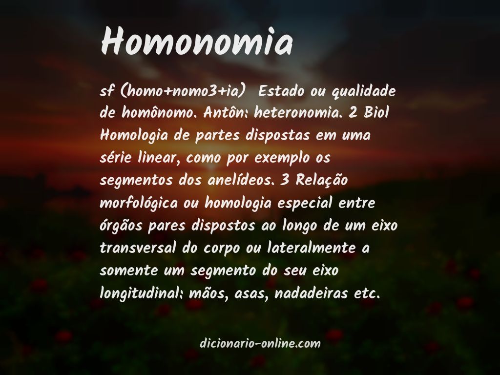 Significado de homonomia