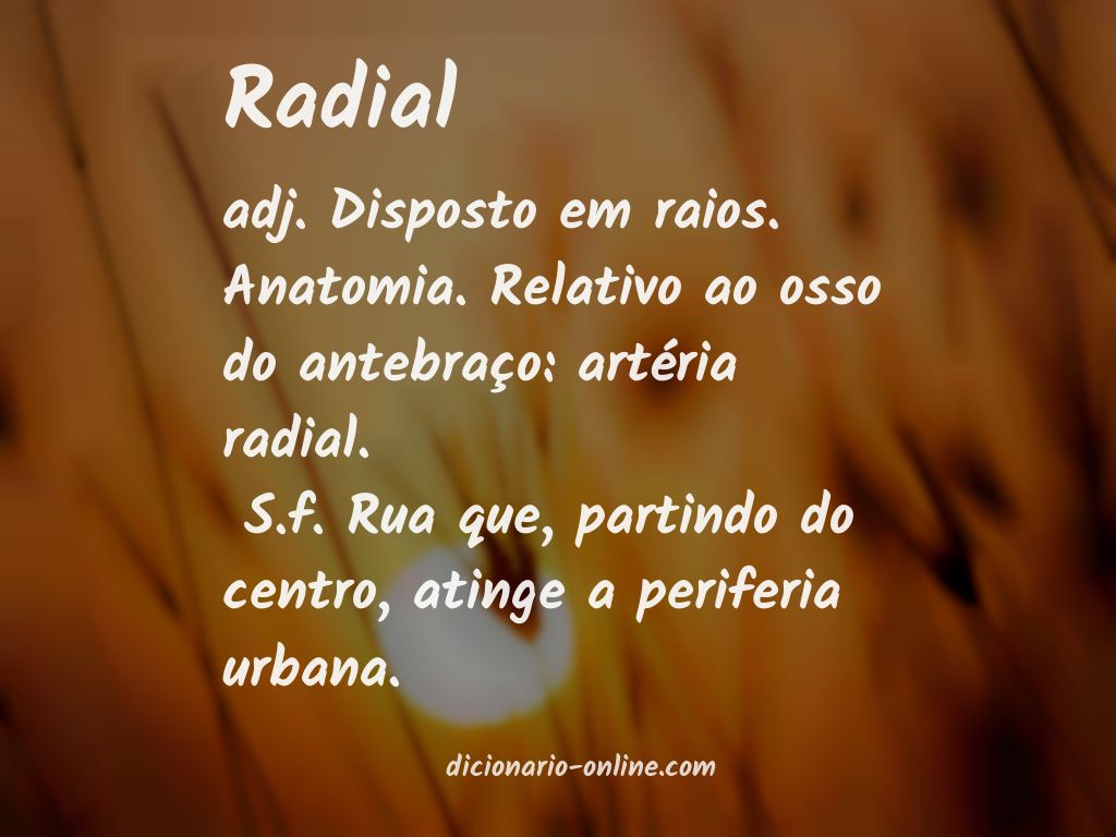 Significado de radial
