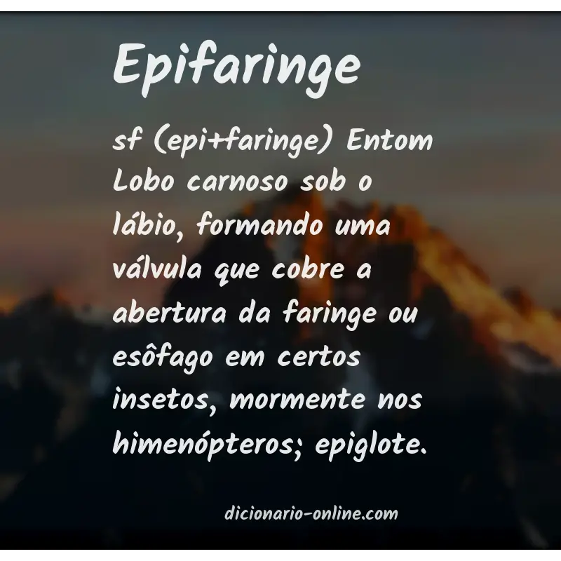 Significado de epifaringe