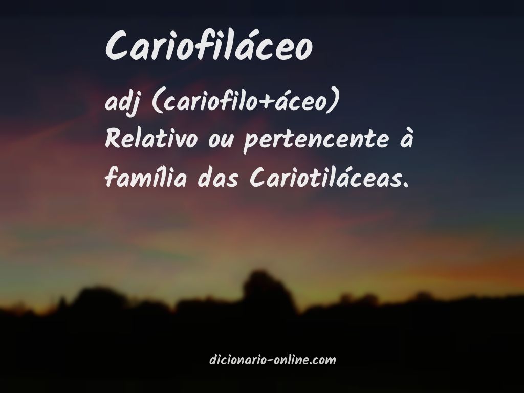 Significado de cariofiláceo