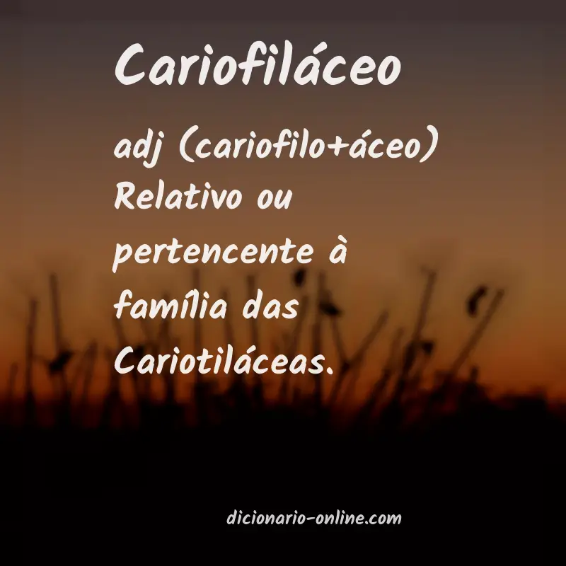 Significado de cariofiláceo