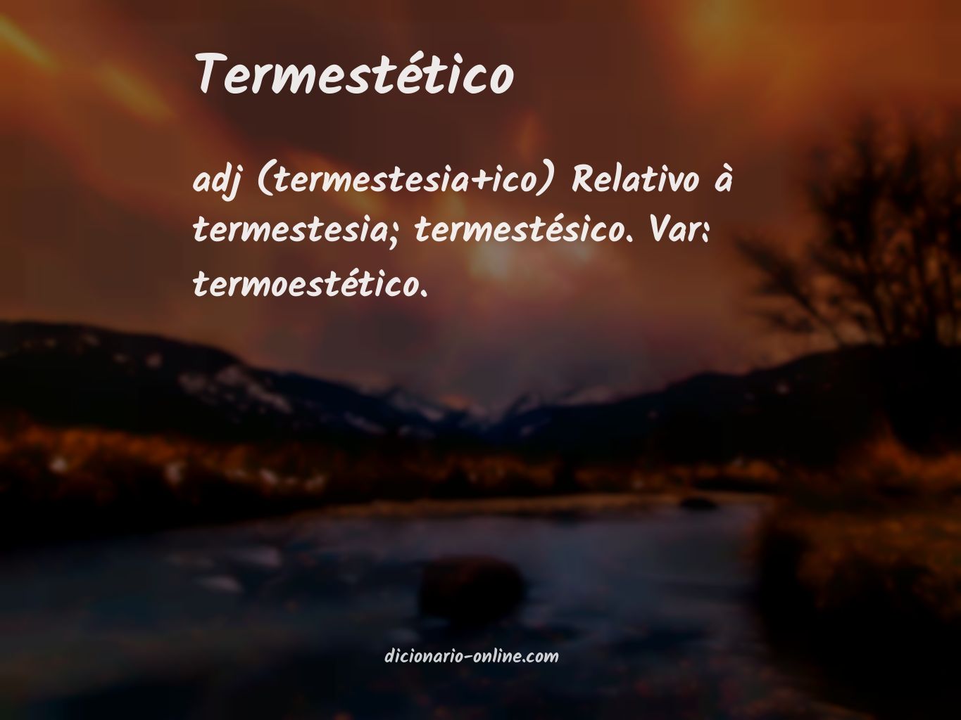 Significado de termestético