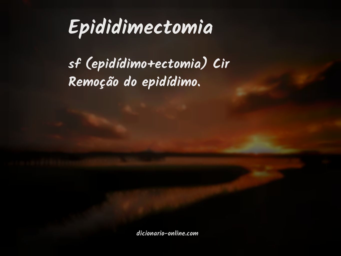 Significado de epididimectomia