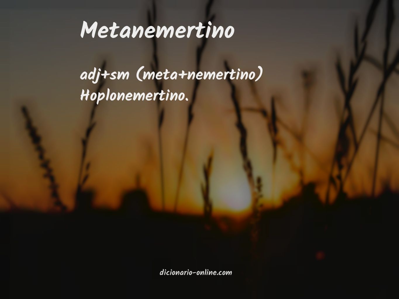 Significado de metanemertino