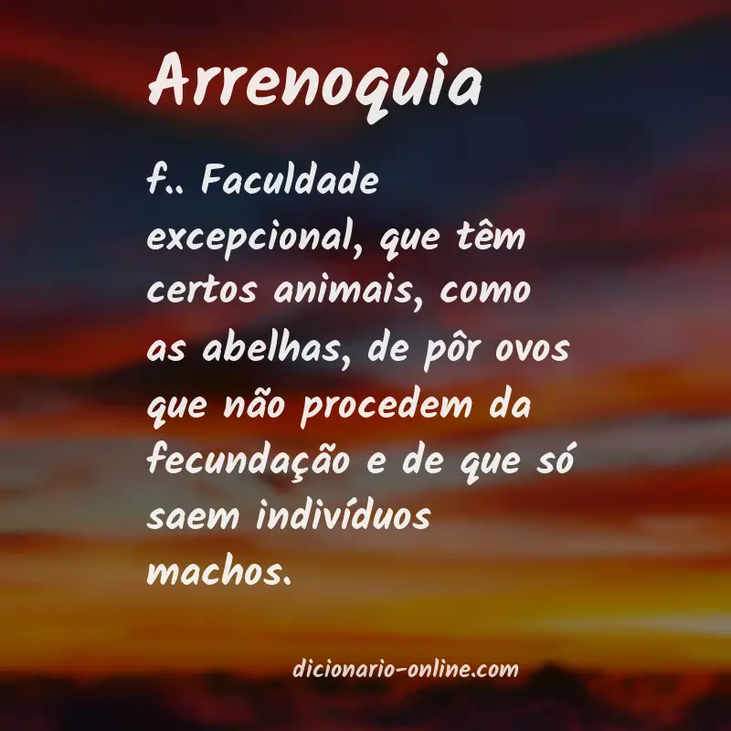 Significado de arrenoquia
