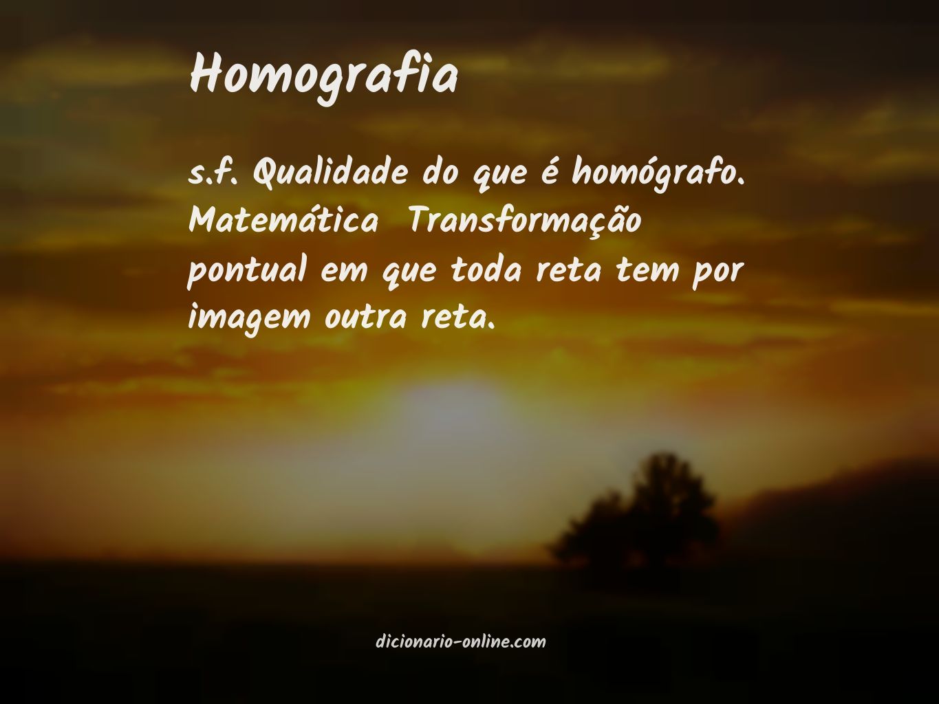 Significado de homografia