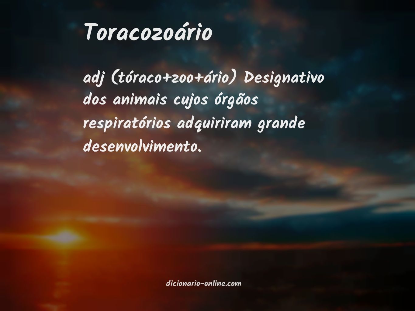 Significado de toracozoário