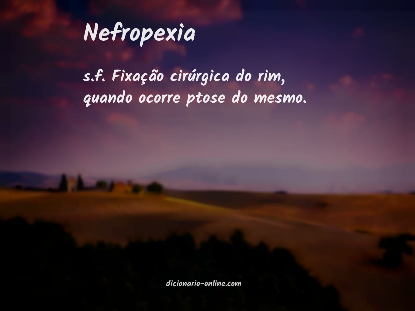 Significado de nefropexia