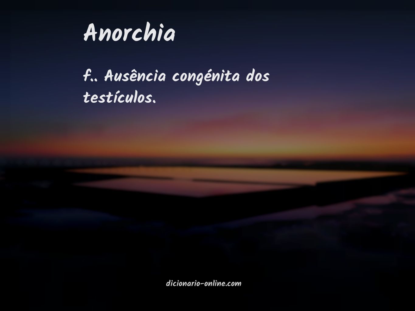 Significado de anorchia