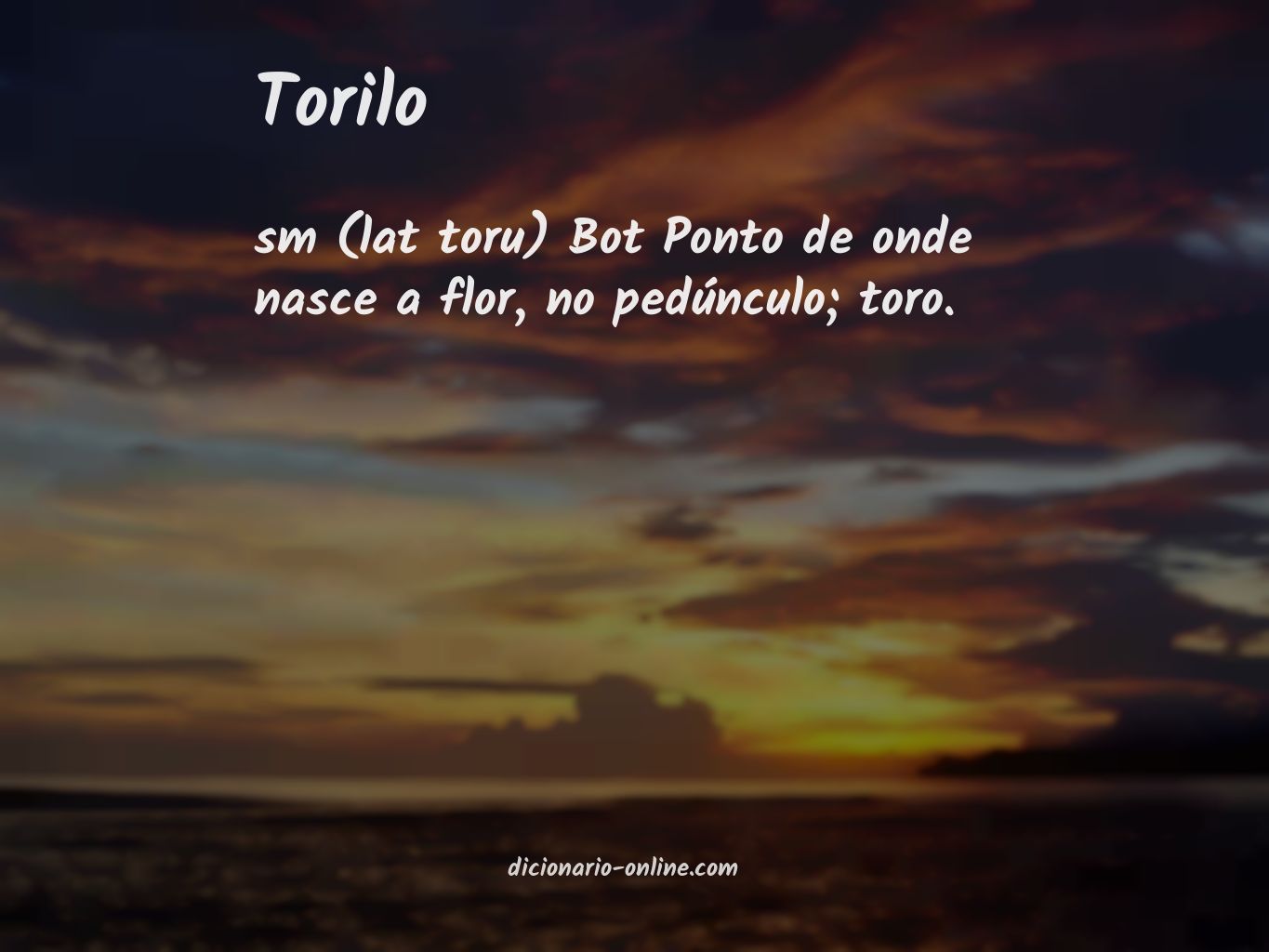 Significado de torilo