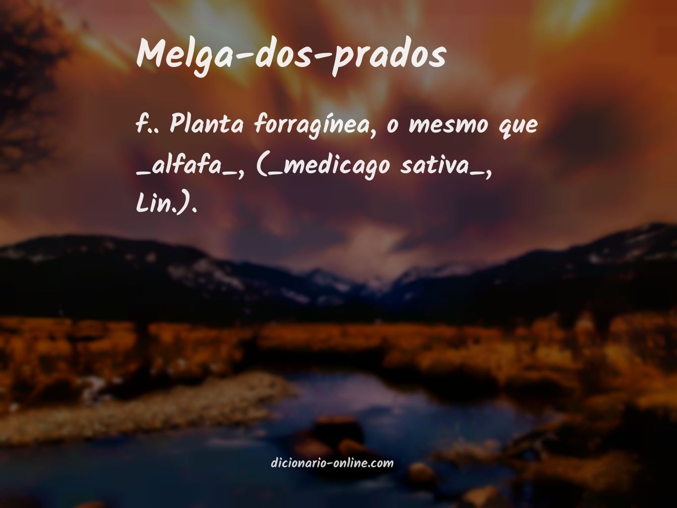 Significado de melga-dos-prados