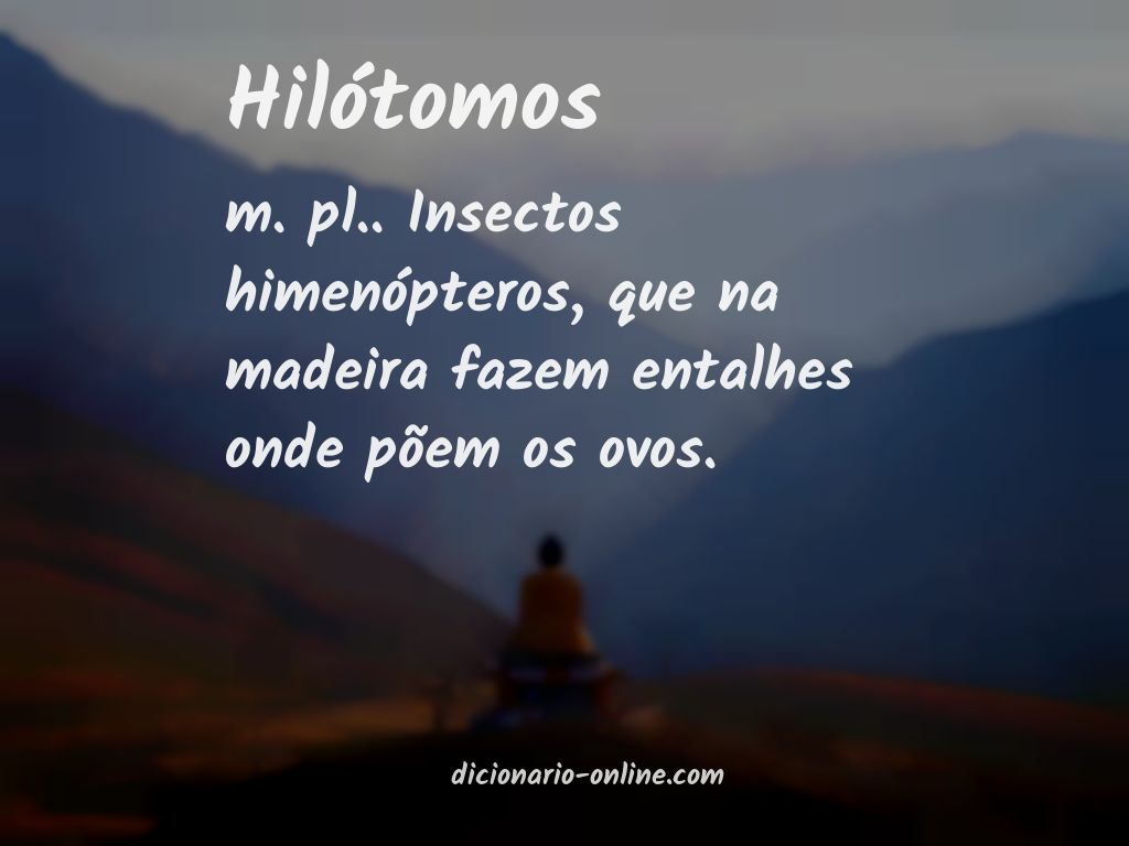 Significado de hilótomos