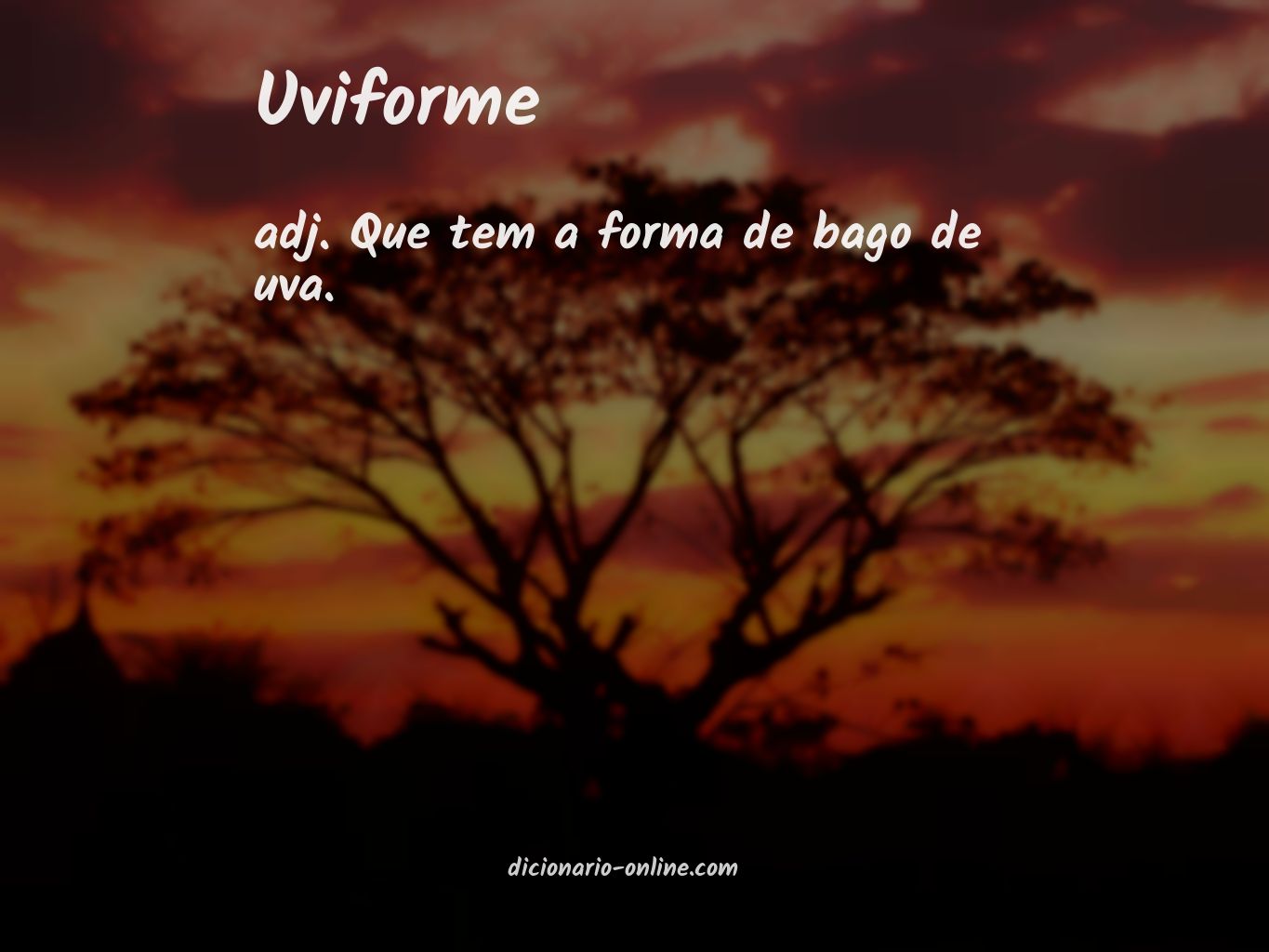 Significado de uviforme