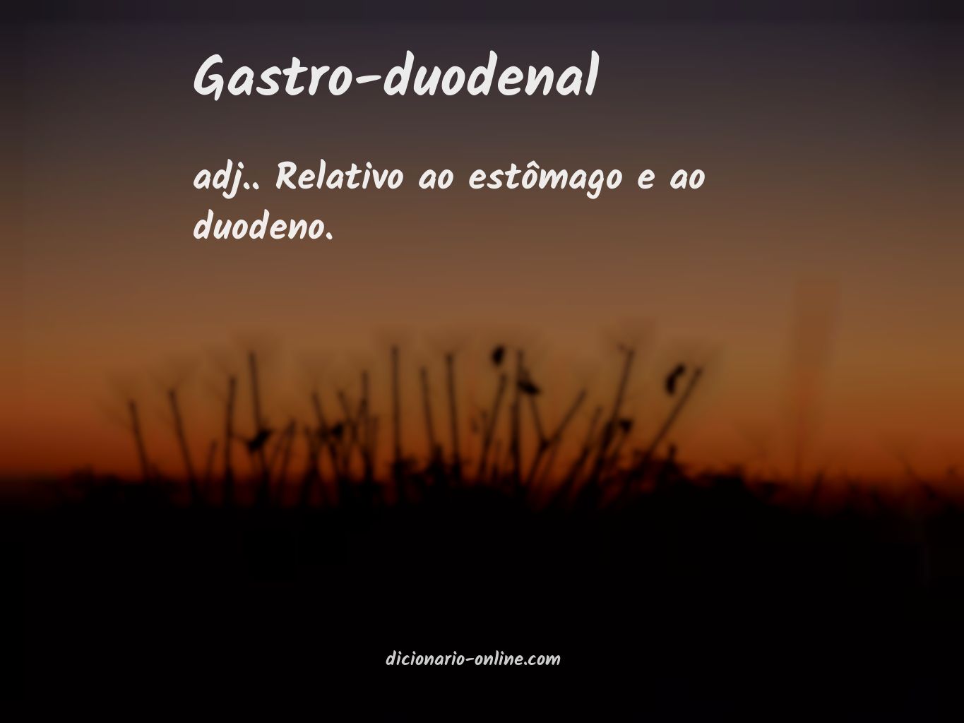 Significado de gastro-duodenal