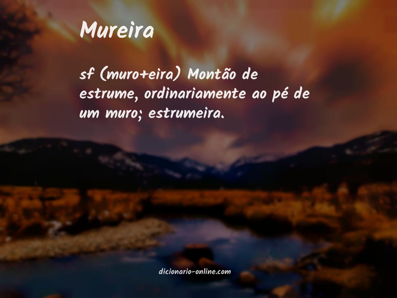 Significado de mureira