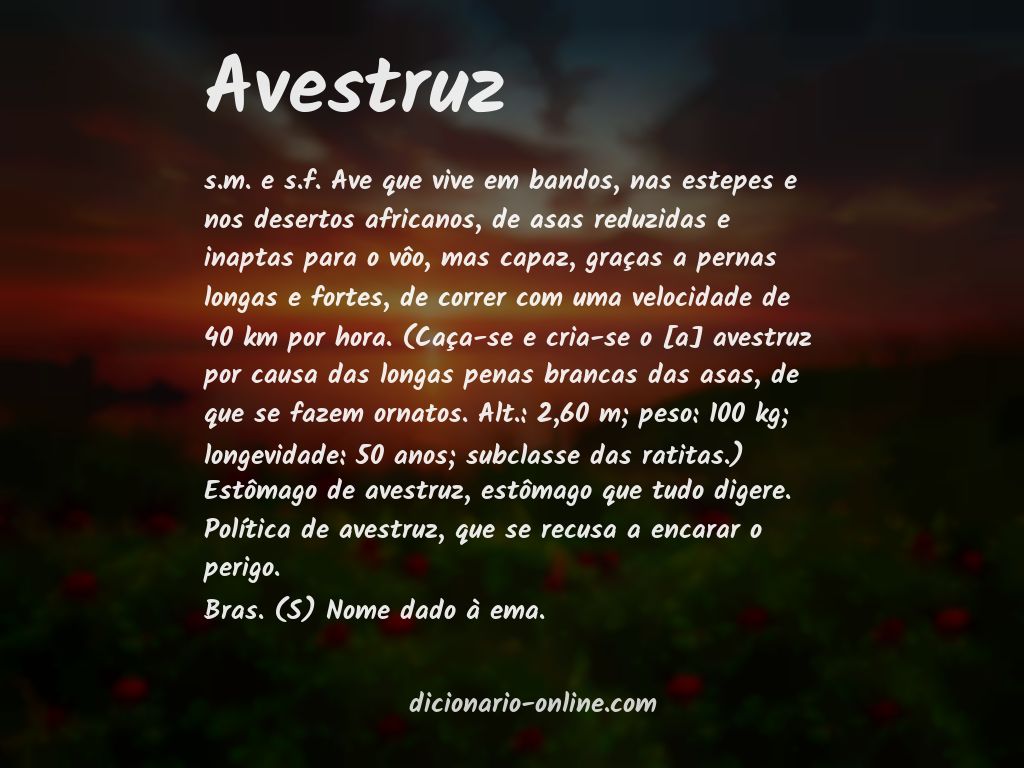 Significado de avestruz