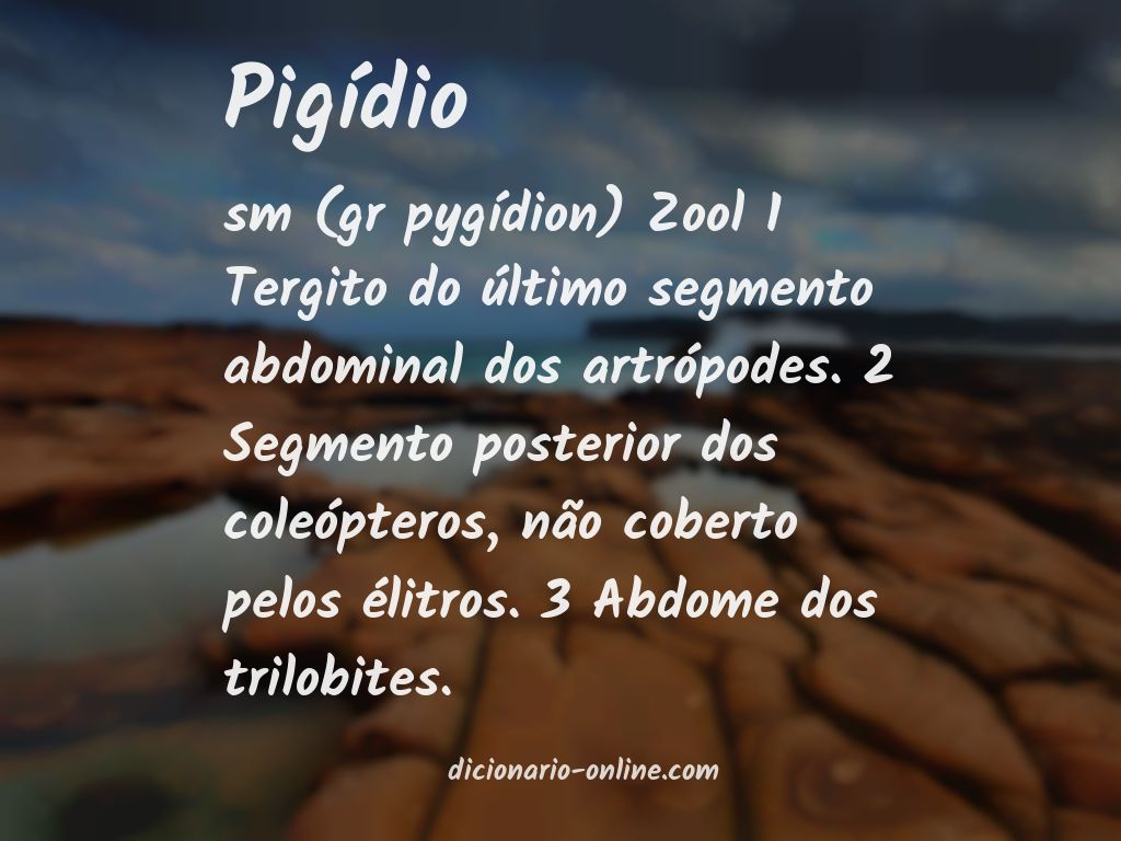 Significado de pigídio