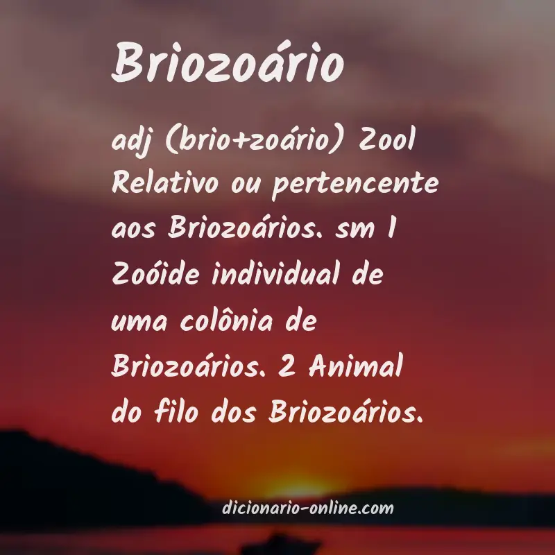Significado de briozoário