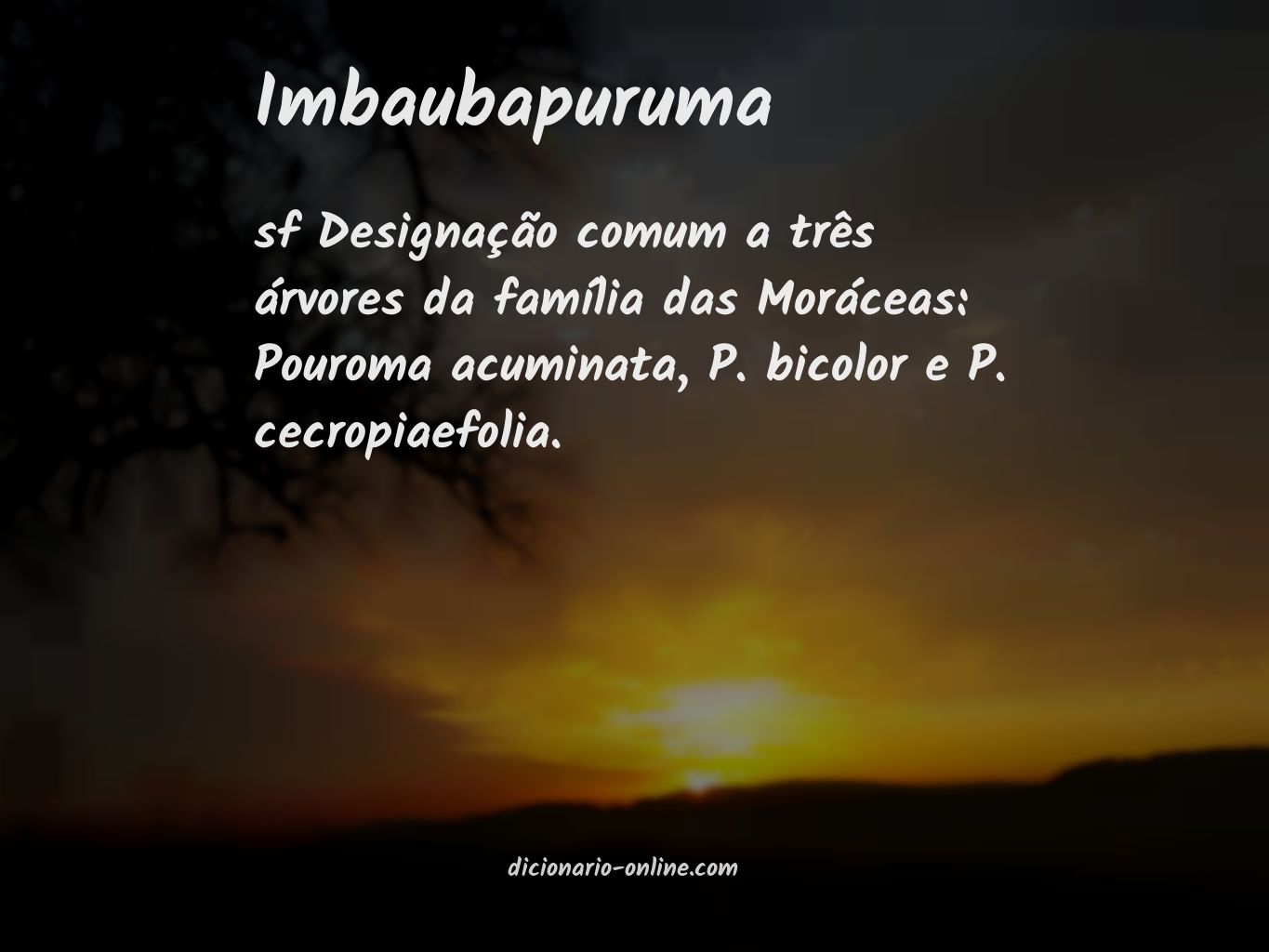 Significado de imbaubapuruma