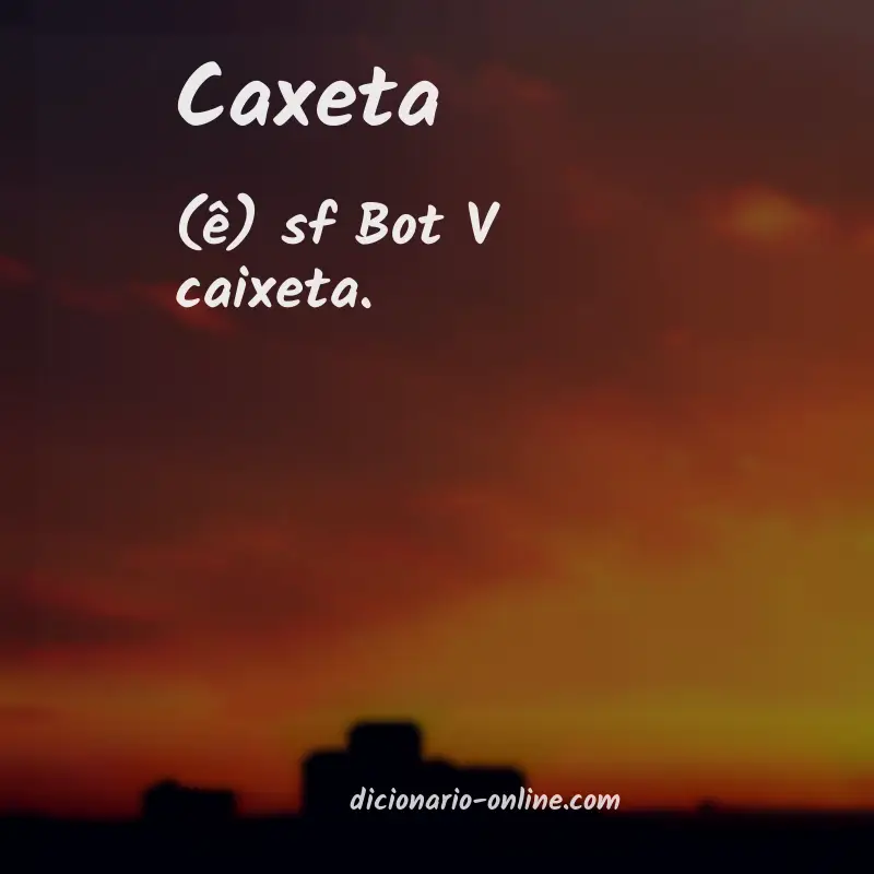 Significado de caxeta
