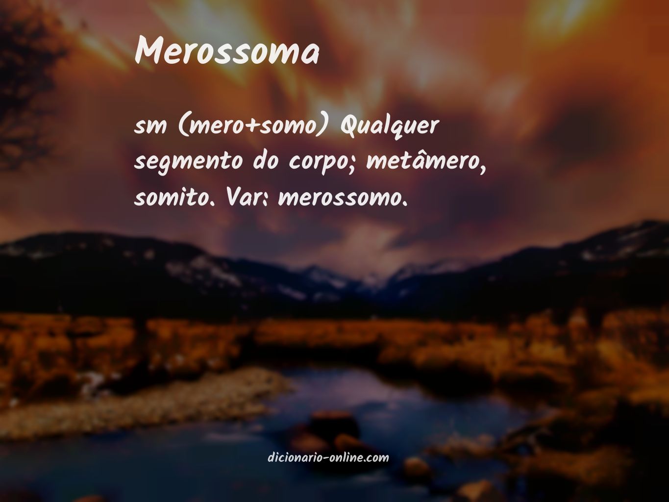 Significado de merossoma