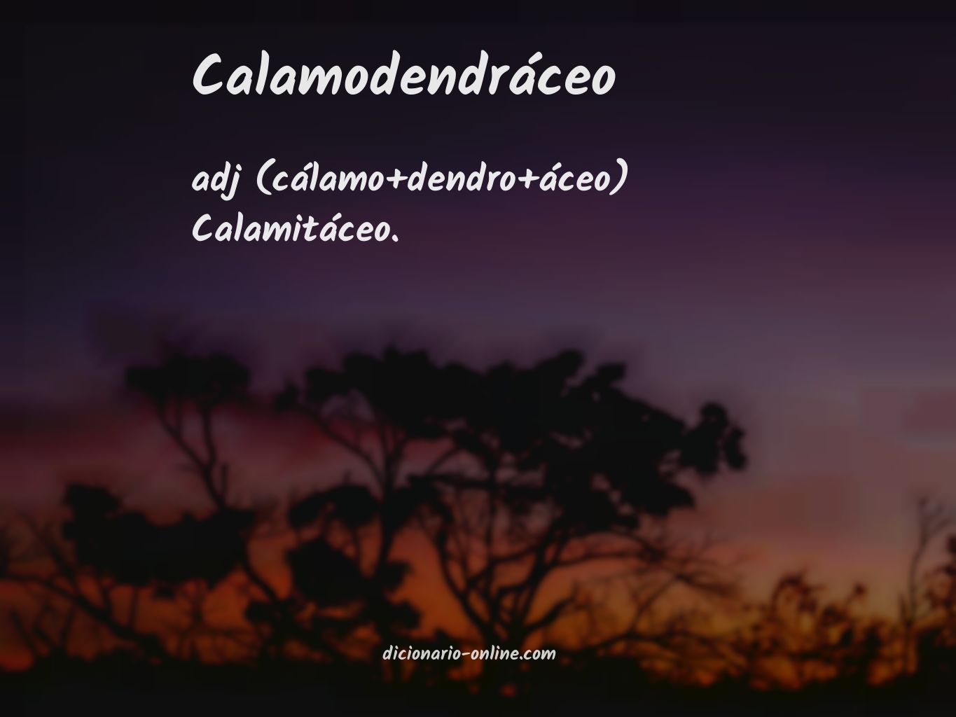 Significado de calamodendráceo