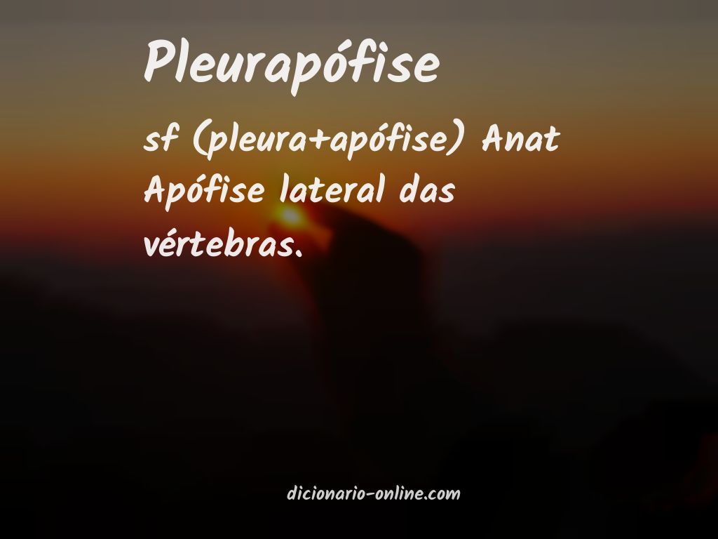 Significado de pleurapófise