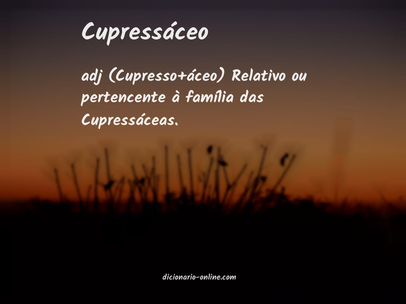 Significado de cupressáceo