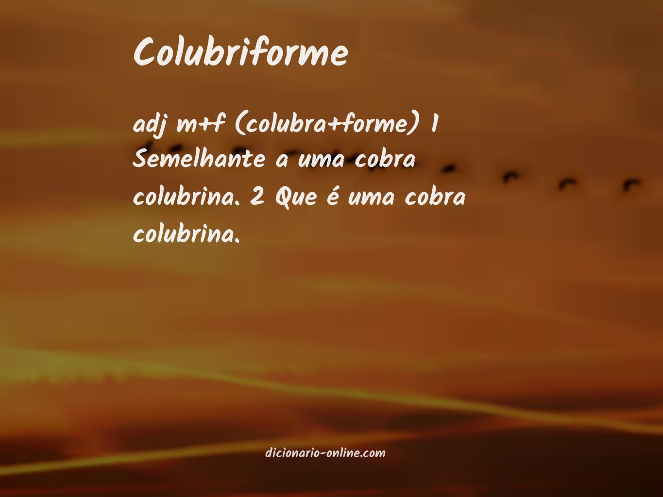 Significado de colubriforme