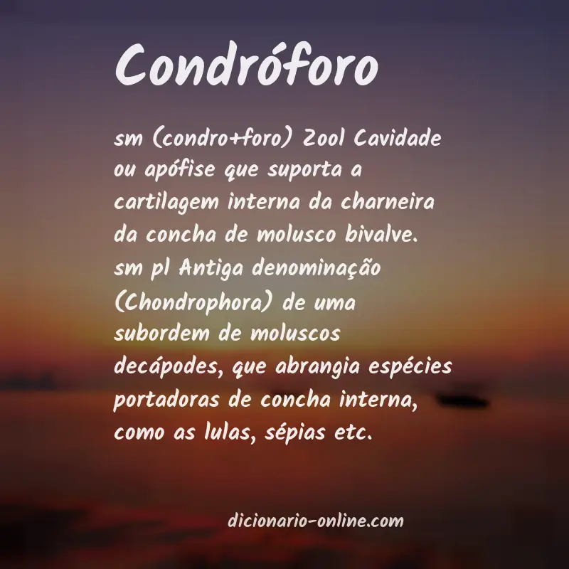 Significado de condróforo