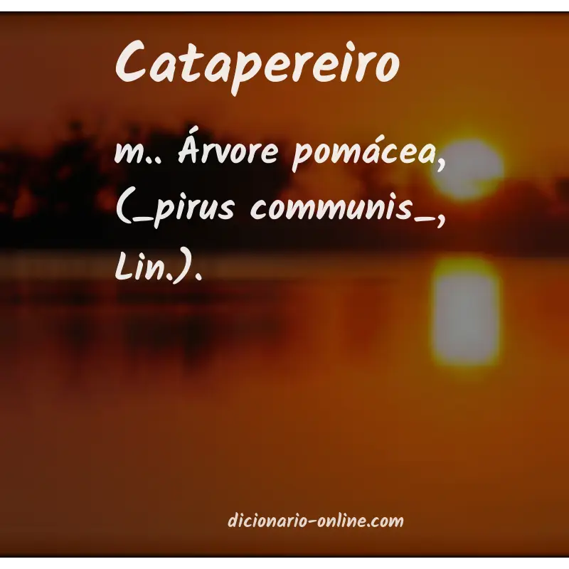 Significado de catapereiro