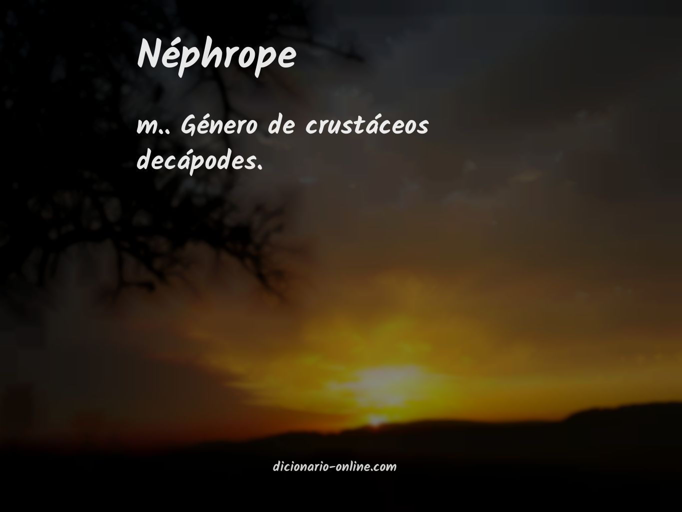 Significado de néphrope