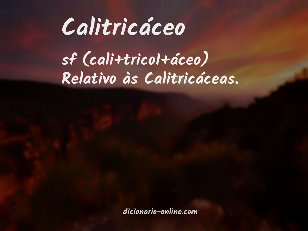Significado de calitricáceo