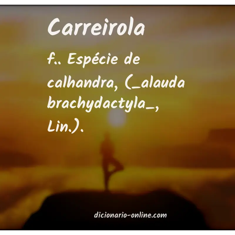 Significado de carreirola