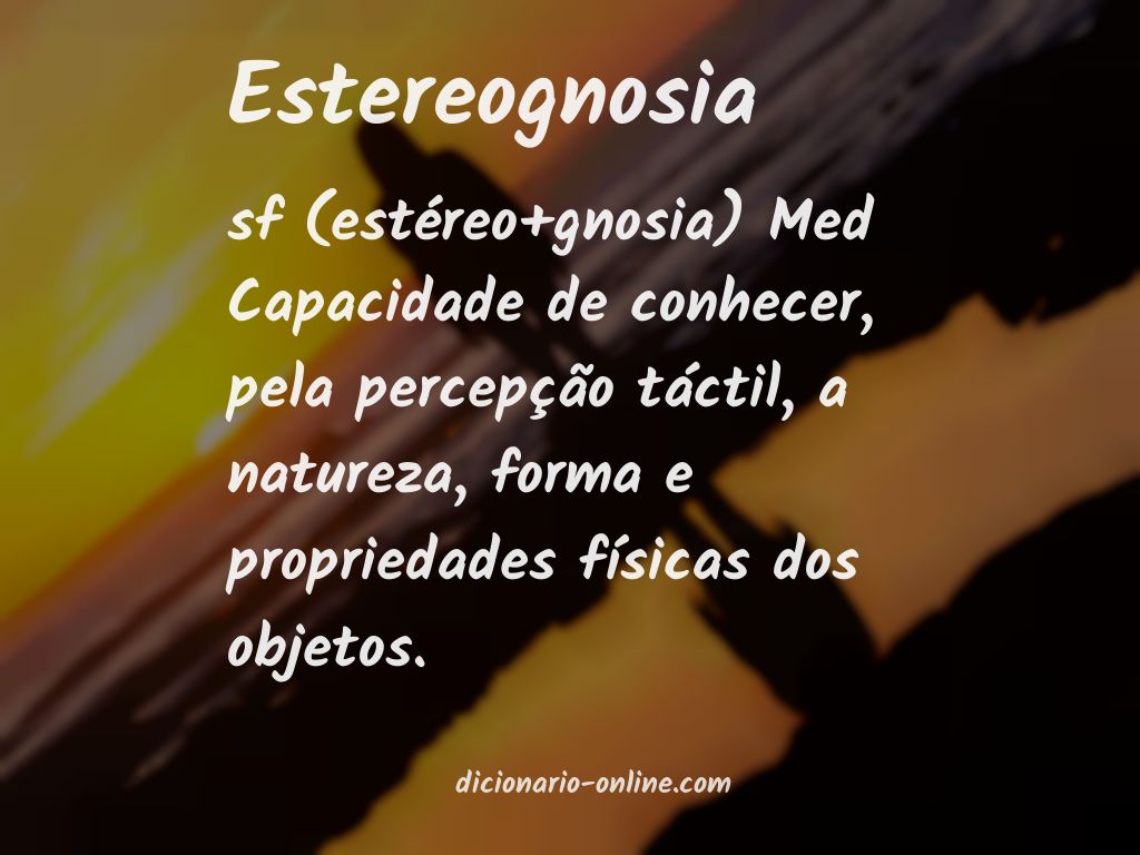 Significado de estereognosia