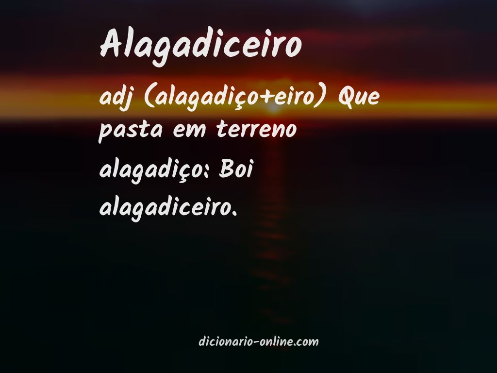 Significado de alagadiceiro