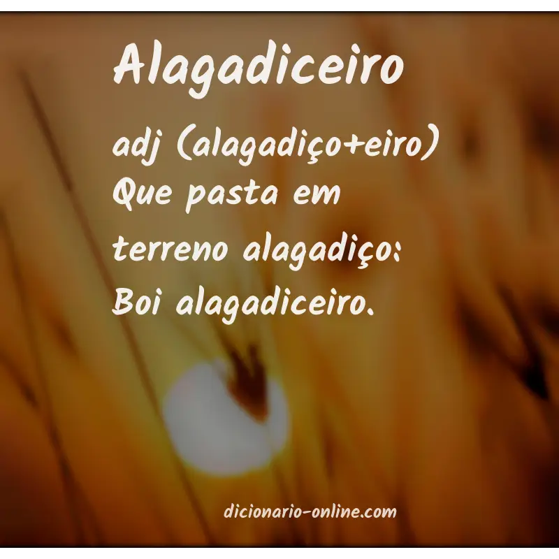 Significado de alagadiceiro