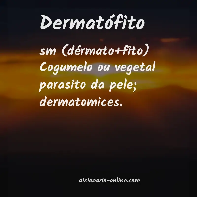 Significado de dermatófito