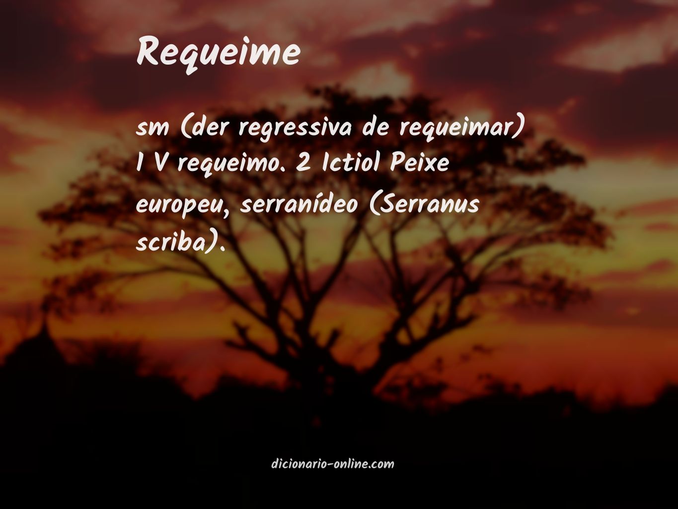 Significado de requeime