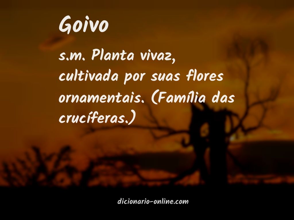 Significado de goivo