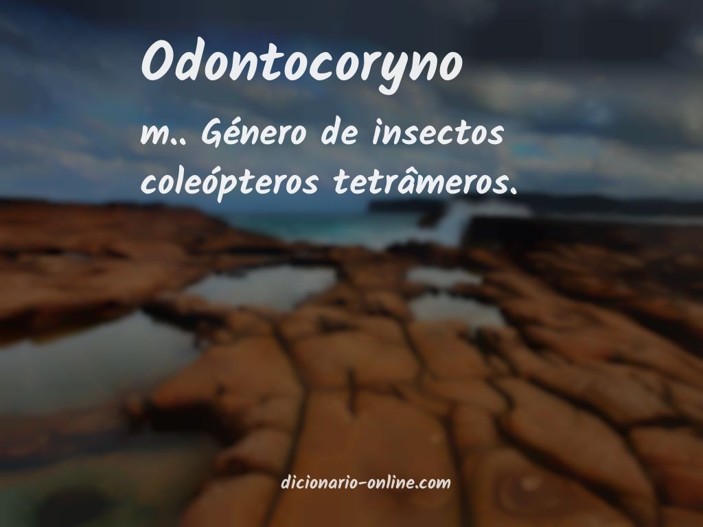 Significado de odontocoryno