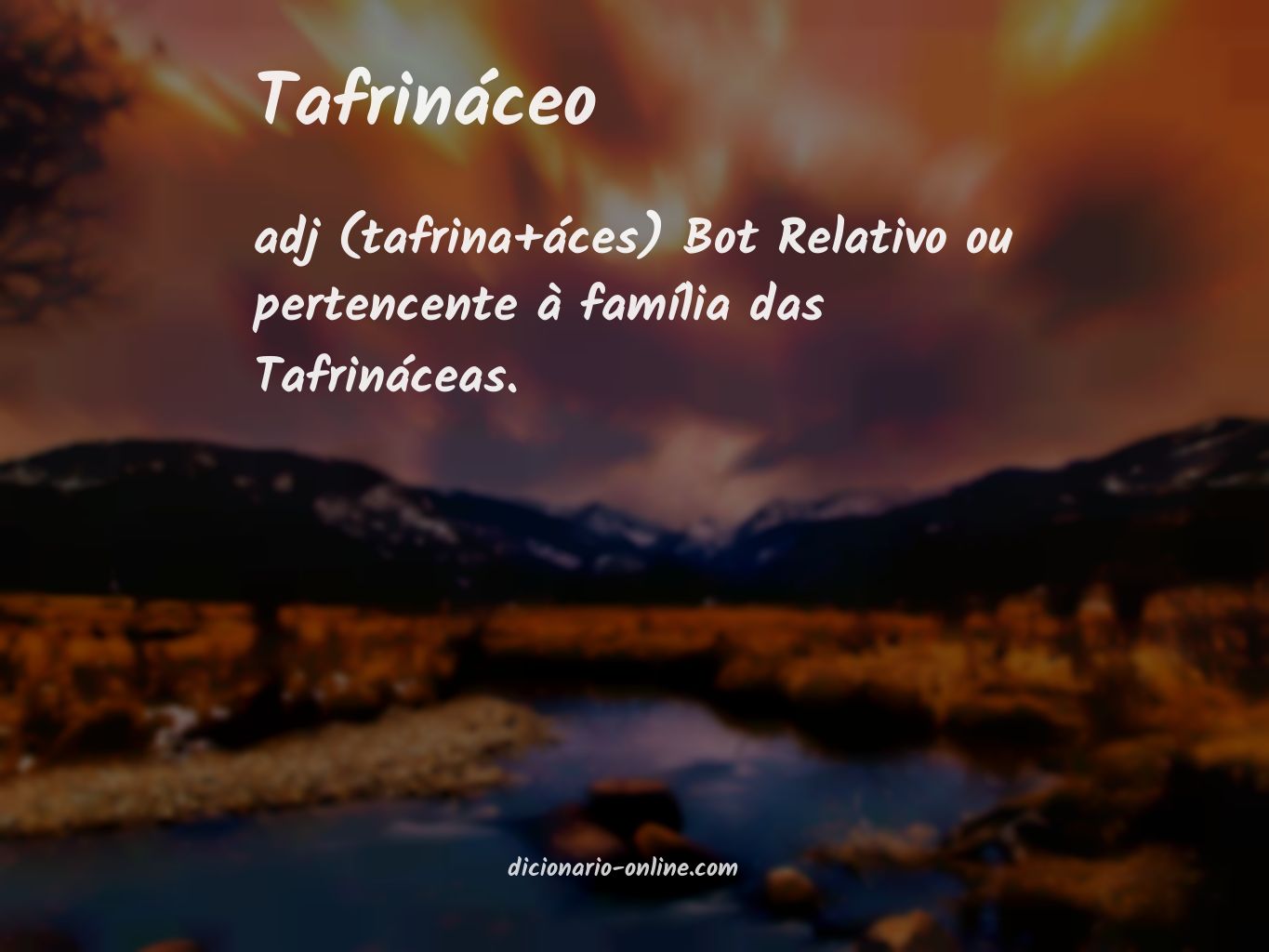 Significado de tafrináceo