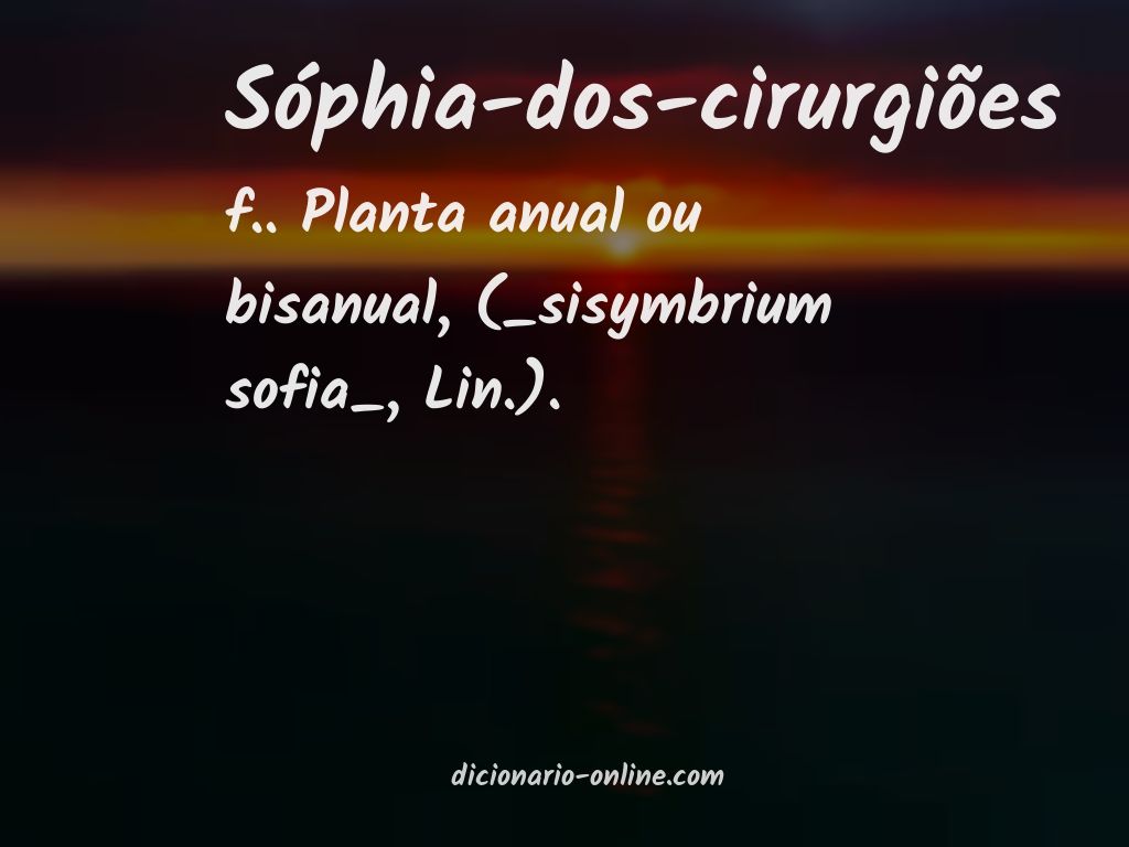 Significado de sóphia-dos-cirurgiões