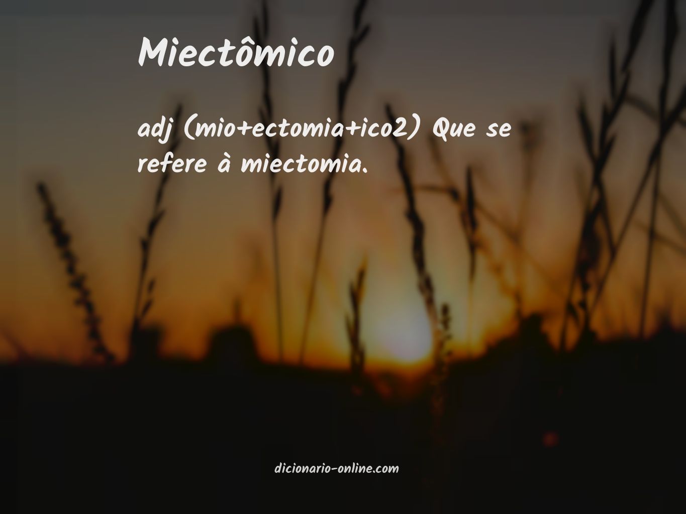 Significado de miectômico