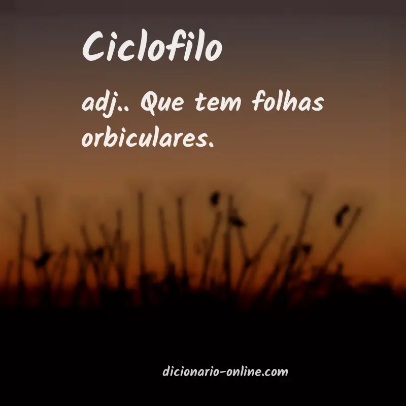 Significado de ciclofilo