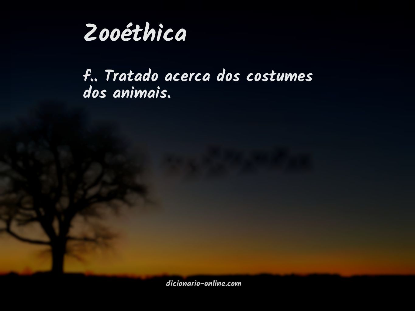 Significado de zooéthica