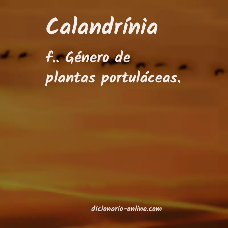 Significado de calandrínia