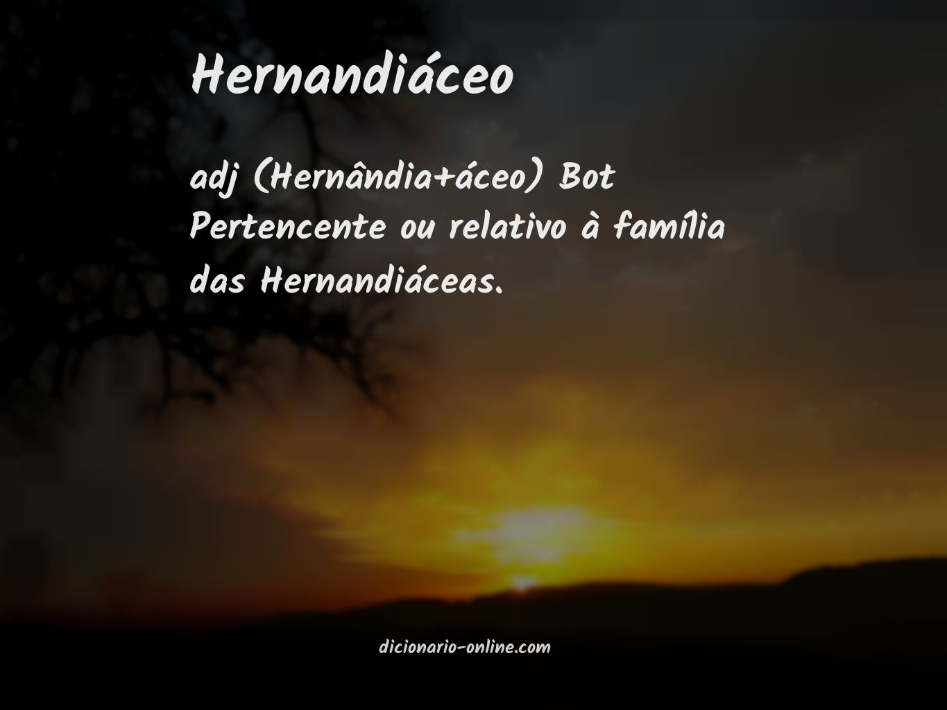 Significado de hernandiáceo